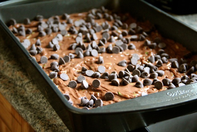 Chocolate Zucchini Cake photo Chocolate Zucchini Cake