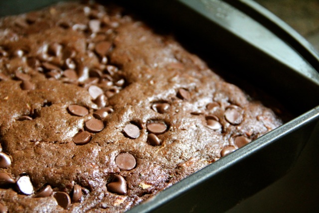 Chocolate Zucchini Cake photo Chocolate Zucchini Cake