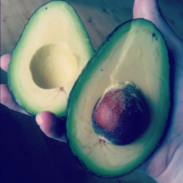 The Year I Became a Food Blogger photo The Year I Became a Food Blogger