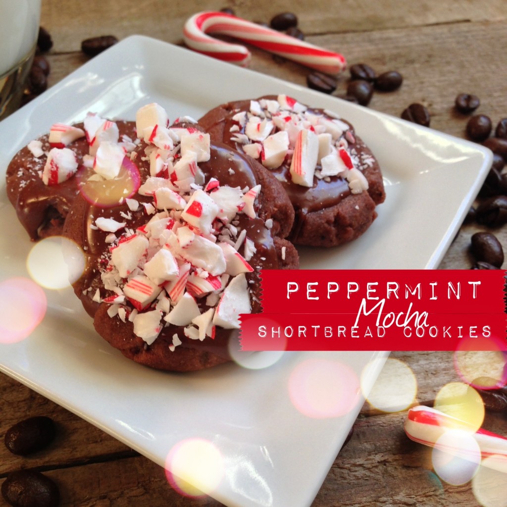 Peppermint Mocha Shortbread Cookie Recipe by Alaska from Scratch via lilblueboo.com