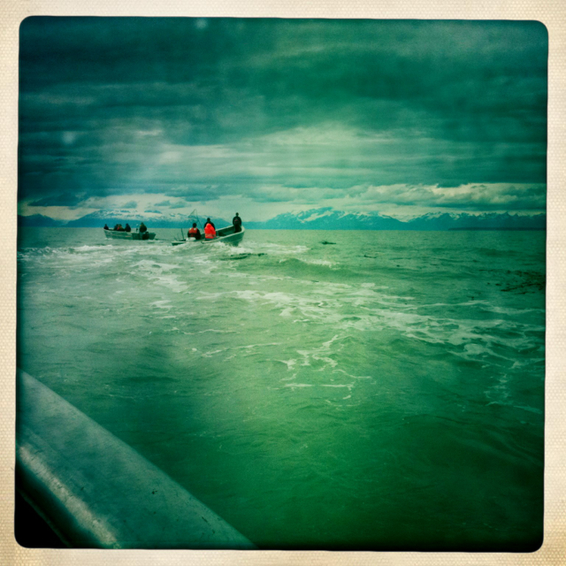 Halibut Fishing - Cook Inlet, Alaska