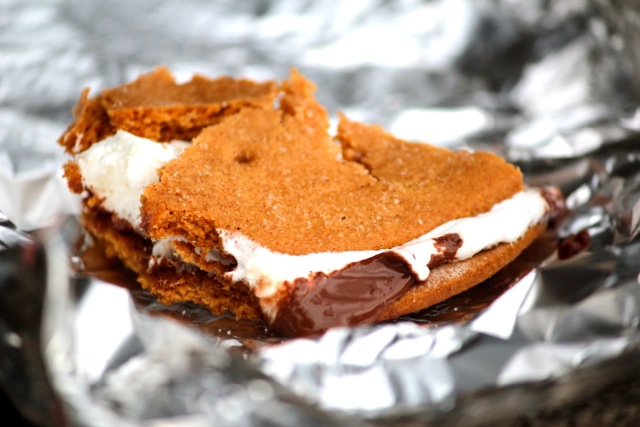 Nutella S'mores via Alaska from Scratch