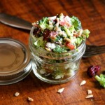 Broccoli Salad with Sunflower Seeds & Cranberries