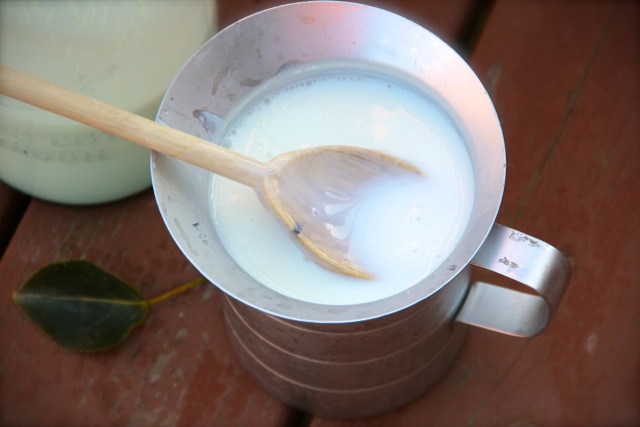 Cultured Buttermilk at Home via Alaska from Scratch