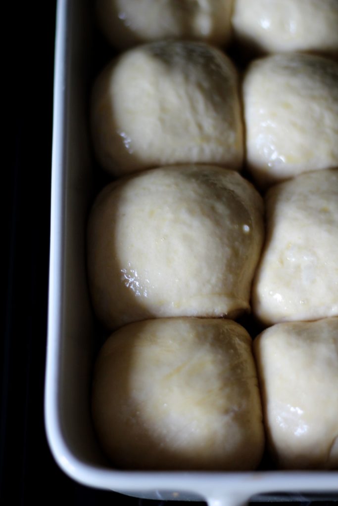 Dinner Rolls